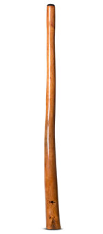 Tristan O'Meara Didgeridoo (TM298)